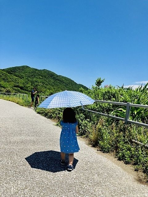 夏は誰だって暑いのだ！